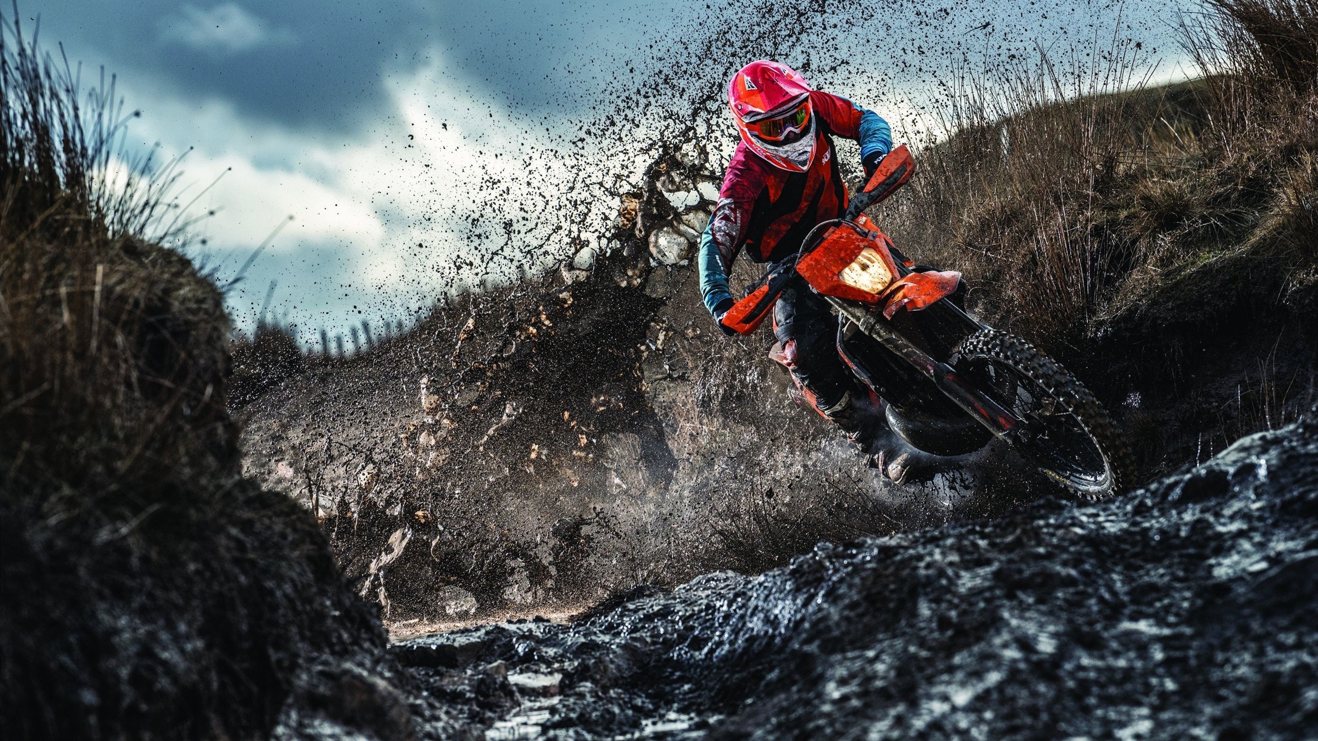 F1年度争冠焦点战，尼日利亚险胜伊朗，赛道之外的全球博弈